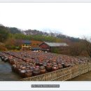 양산신-2015 이미지