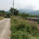 원주굽이길 4코스 꽃양귀비길 이미지