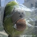 영크크 말고 늙크크 [ 나가노마켓 직구 후기 ]