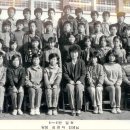 남평초등학교 Daum카페