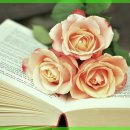 자연이야기 이미지