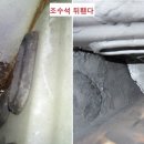 녹전가스