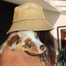 발편한동물병원 이미지