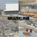 이너리트 | 울산 벚꽃 명소 카페 이너리트 개화상황 주말 테라스 자리 성공 후기