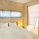 스테이화가 이미지