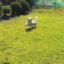 라엘르의원 | 12월 임신 준비 기록1 다낭성 생리불순,임신 산전검사 진료 / 창원 엘르메디여성의원 초진 평일 대기시간