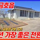 영천공인중개사사무소 티스토리