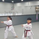 에스 태권도장 이미지