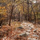 NR-31[새마을로]-상-356 | 치술산▲박제상,치술령과 망부석,신모,은을암,서낭재,비조로 이어지는 역사의 재구성