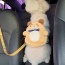 해피트리 동물병원 이미지