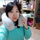 여행용목베개 [ 트래블굿스 메모리폼 목베개 ] 휴식할때필수품!!