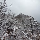 백운산 주차장 이미지