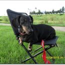 압독생활체육공원 이미지