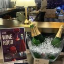 봉주르독 | 석촌와인바 퍼플독 송파본점 솔직 후기 ㅣ 분위기 좋은 곳에서 즐기는 무제한 와인