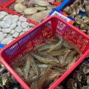 우리농수산물 | 마포농수산물시장 새우 꽃게 소라 연안수산 구매 후기