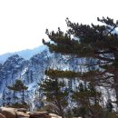 유한회사 동해 이미지