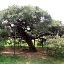 이천1리마을회관 이미지