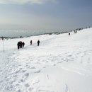 제 193차 제주 한라산 산행지 안내 이미지