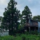 별그림2민박 이미지