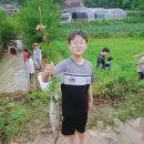 송라태권도 이미지