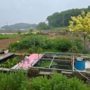 너울농장 이미지