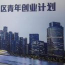 Experience the Future: Tailored Business Tours in Shenzhen