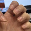 큐리네일 | (내돈내산)다이소 큐티클리무버, 네일푸셔, 스텐네일니퍼 : 다이소 네일 용품으로 셀프 네일 케어한 후기