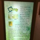 초담 이미지