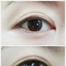아이라인뷰티