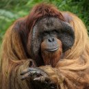 미로월드 이미지