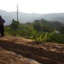 기대농장 이미지