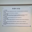 대학로족발
