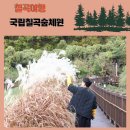 칠곡 가볼만한곳 한국산림복지진흥원 국립칠곡숲체원