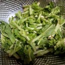 참샘 농원 | 농라 참샘농원 후기