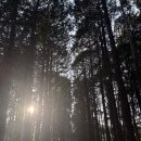 엄마랑 이모 모시고 2박 3일 제주도 다녀온 후기 (사진 잘 안찍어서 사진은 풍경 밖에 없고 정보글만 있음) 이미지