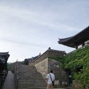 260524 합천반값여행_3