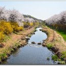 장수천 이미지