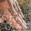 중앙역사공원(북쪽) 이미지