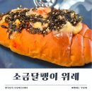 달팽이 | 소금달팽이 위례 후기, 소금빵부터 에그타르트까지 고르는 재미