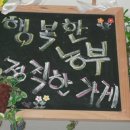 해남에다녀왔습니다 이미지