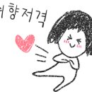 해광크리닝 이미지