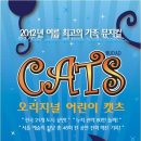 어린이 캣츠 이미지