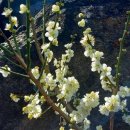 바람불어좋은날 이미지