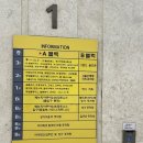김모진헤어미가 | 서울 준오헤어 강서구청점｜자연스러운 잔머리펌,엠자헤어라인커버,정온정 디자이너