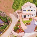 이레올래 이미지