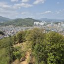 고성산 조망 이미지