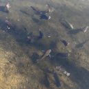 (주)제주파랑새관광여행사 | &lt;투어비스&gt; 유후인 버스투어 - 관광코스별 시간 정리 및 후기(2025.03.10.)