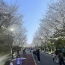 자유수호평화박물관 이미지