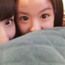 꿈의세계 이미지