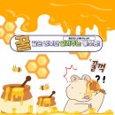 스마트카 | 메이튼 무선 애플 카플레이 사용 후기 – 유선의 번거로움을 없앤 스마트한 변화